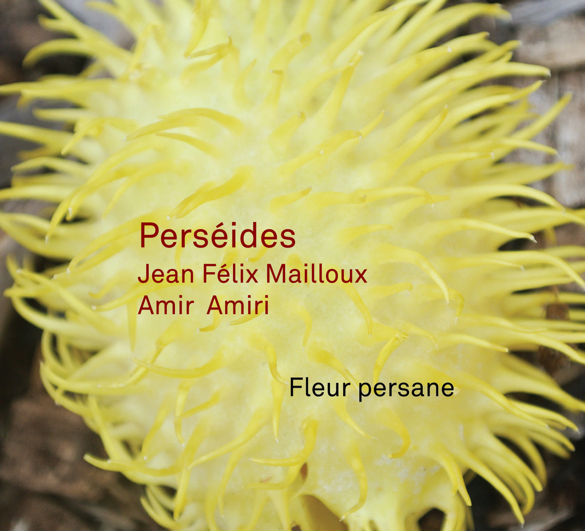Perséides_cover_small